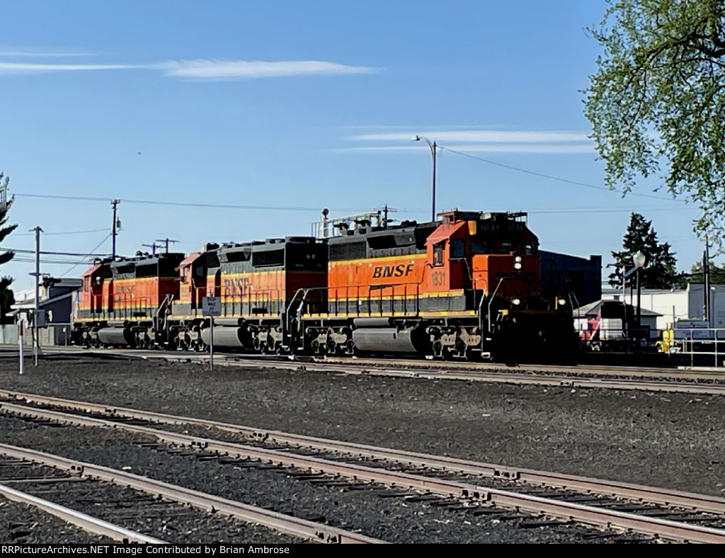 BNSF 1831 East
